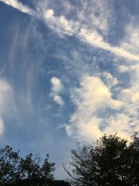 Low angle view of trees against sky