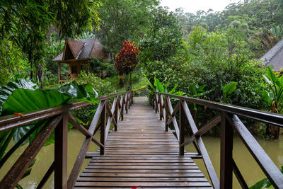 Wooden footbridge over plants and trees