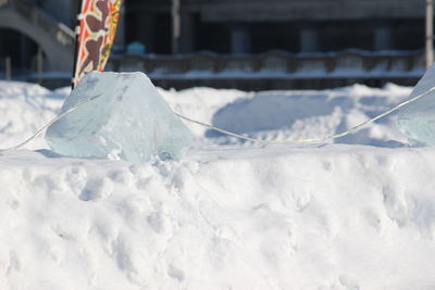 Close-up of snow covered land