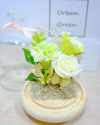 Close-up of white rose on table