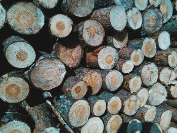 Full frame shot of logs in forest