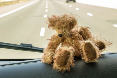 Stuffed toy on dashboard of car