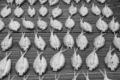 High angle view of birds in market