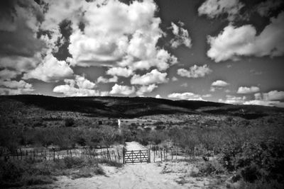 Scenic view of landscape against sky