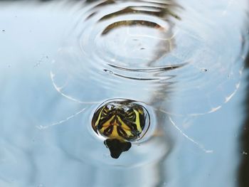 water