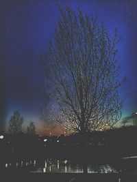 Low angle view of bare trees against sky