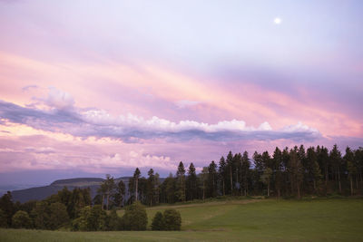 Trees on field against sky during sunset