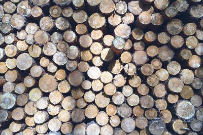 Timber pattern