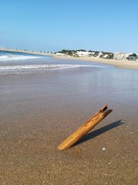 Driftwood on beach against clear sky