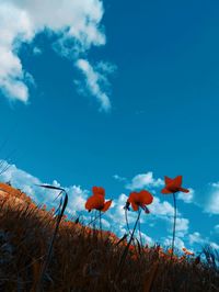 sky