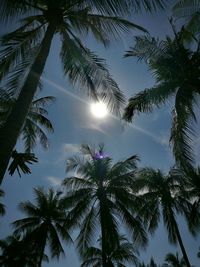 Low angle view of trees against sky