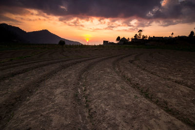 Scenic view of field against sky during sunset