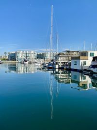 Sailboats in marina