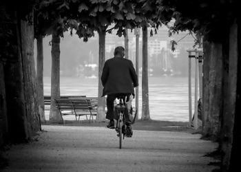 Rear view of man riding bicycle