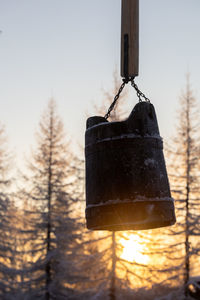 Close-up of basketball hoop against trees