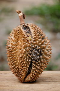 Durian fruit is rotten on the wood floor.