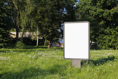 Park on field by trees