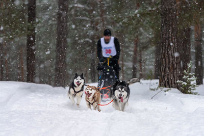 Man with dog in snow