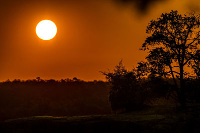 Silhouette trees on field against sky during sunset