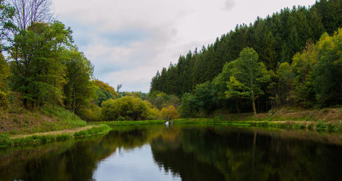 Scenic view of lake in forest against sky