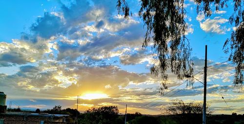 Low angle view of silhouette trees against sky during sunset