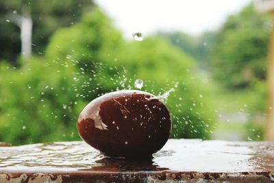 Close-up of wet apple in water