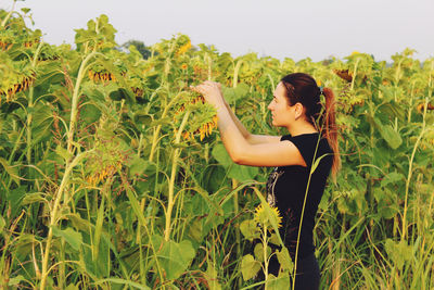 Side view of woman standing by sunflowers at farm