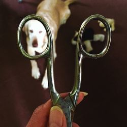 Close-up of hand holding eyeglasses