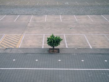 View of paving stone