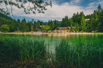 Scenic view of lake by trees and plants against sky