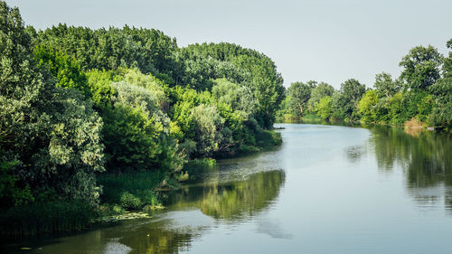 Scenic view of lake by trees against clear sky