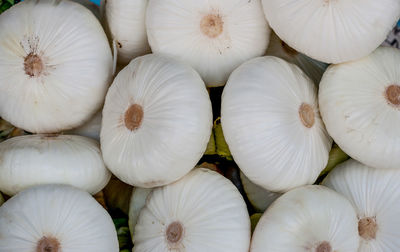 Full frame shot of pumpkins