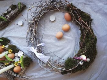 High angle view of vegetables on plant