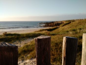 Close-up of wooden post on the beach
