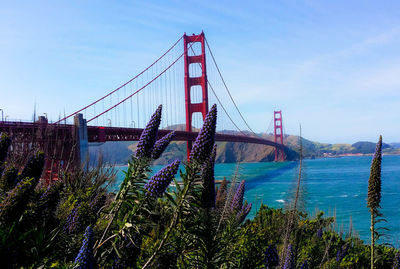 View of suspension bridge against sky