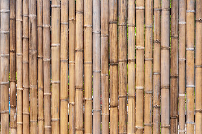 Full frame shot of bamboo