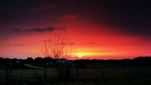 Scenic view of landscape at sunset