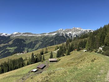 Scenic view of landscape against clear blue sky