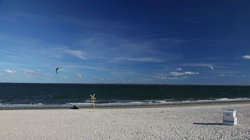 Seagull flying over beach