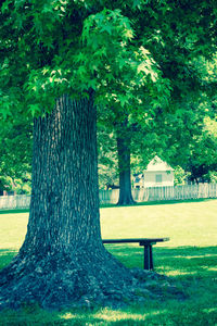 Built structure and trees in park