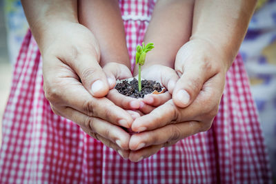 Close-up of hand holding plant