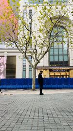 Rear view of man walking on sidewalk by building