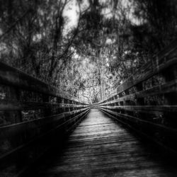 Footbridge passing through a forest