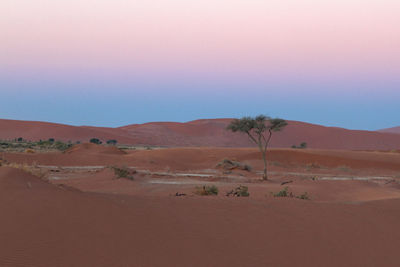 Scenic view of desert against sky