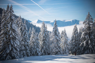 Chamrousse plateau in the alps in winter under the snow