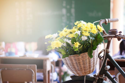 Close-up of flowering plants in basket