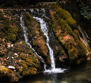 Scenic view of waterfall in forest