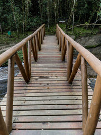 Wooden footbridge in forest