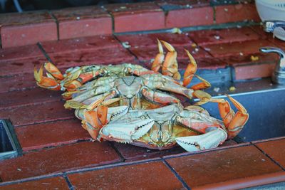 High angle view of crab on table