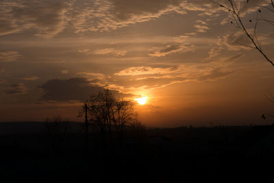 Silhouette trees against sky during sunset